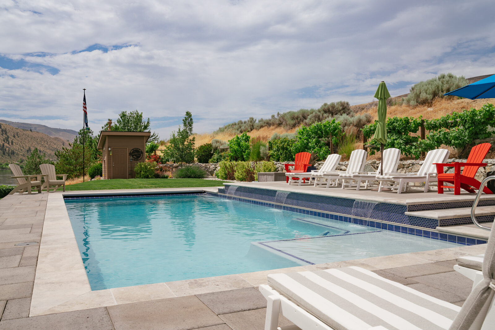 Custom pool with sundeck and vineyard